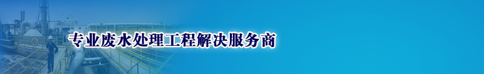 專業(yè)廢水處理工程系統解決方案服務商